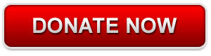 donate_now_button